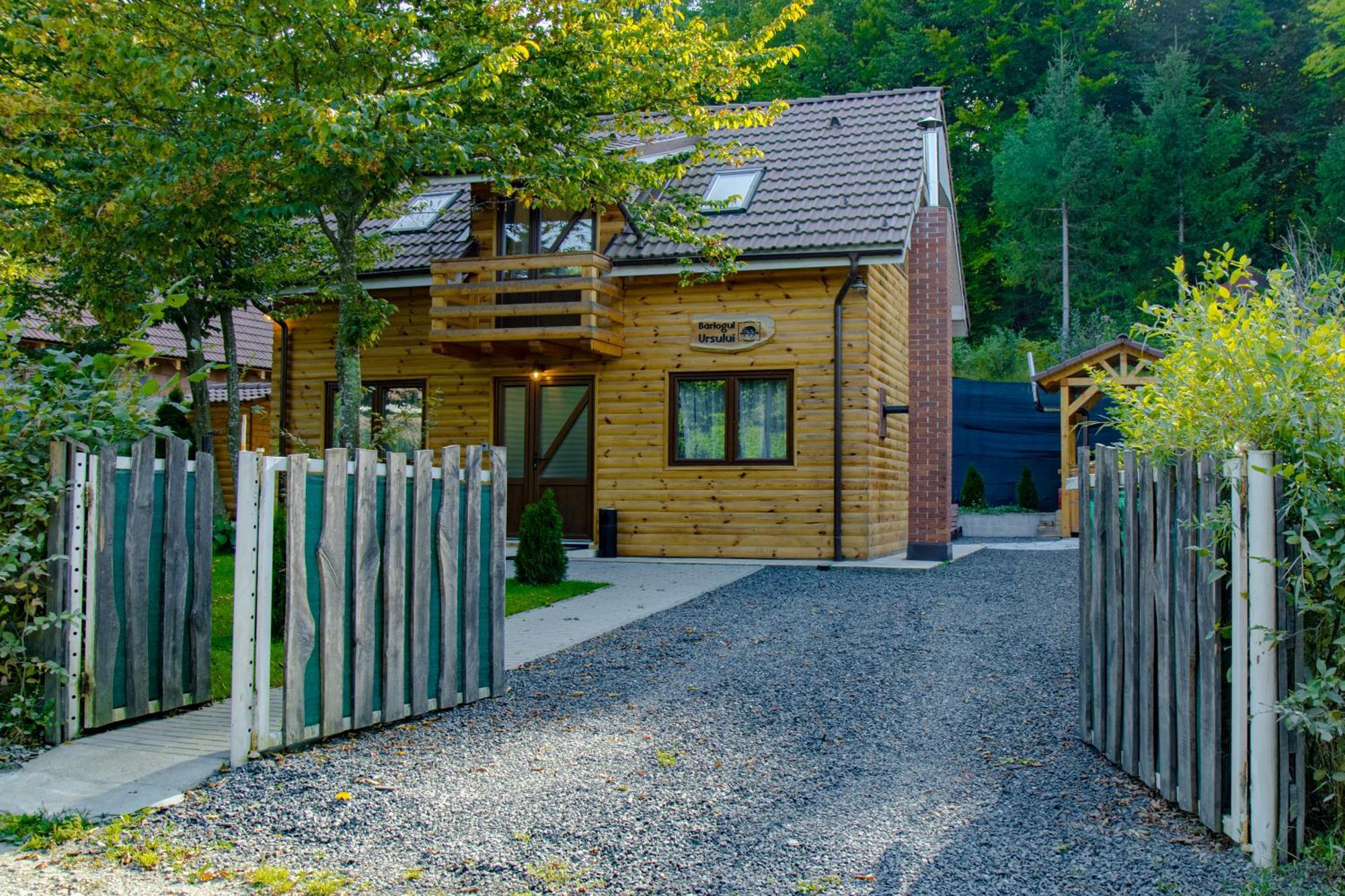 Bear'S Lair Chalet Porumbacu de Sus Buitenkant foto